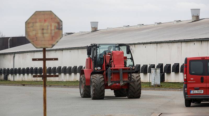 V Česku je druhé ohnisko ptačí chřipky. Nemoc se objevila v komerčním chovu Moras Moravany ve Slepoticích na Pardubicku.