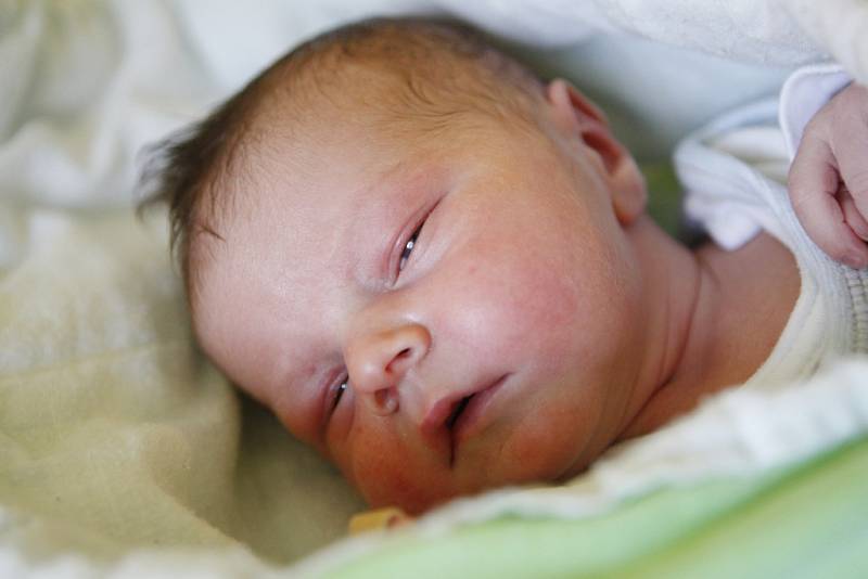 Jonáš Pulkrábek se narodil 7. listopadu v 1:28 hodin. Měřil 53 centimetrů a vážil 3400 gramů. Maminku Lenku u porodu podpořil tatínek Roman a rodina je z Kostěnic.