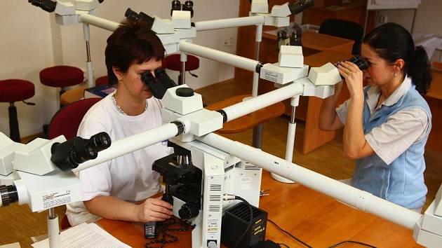 Největší mikroskop na světě. Rozhodně pro největší počet pozorujících. Celkem 30 lidí může na mikroskopu v Bioptické laboratoři v Plzni sledovat ve stejný okamžik  totéž, co vyučující. Tento mikroskop je jediný na světě