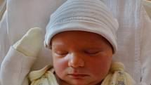 Vanda Vitoušová se narodila 4. listopadu ve 20:16 mamince Alexandře a tatínkovi Jiřímu z Plzně. Po příchodu na svět ve FN vážila jejich první dcera 3870 gramů a měřila 52 cm