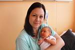 Alena Straková (3,08 kg, 48 cm) se narodila 10. května v 6:24 v rokycanské porodnici. Na světě svoji prvorozenou holčičku přivítali maminka Petra a tatínek Stanislav ze  Spáleného Poříčí..