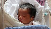 Uy Vu Truong se narodil 10. července v 10:00 hodin v porodnici FN Lochotín rodičům Huyen Chu Thi a Phi Dung Truong. Po příchodu na svět vážil jejich druhorozený syn 3870 g a měřil 52 cm.