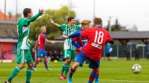 Viktoria Plzeň B - Hostouň 2:0.