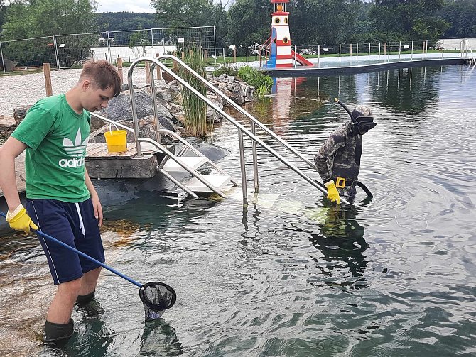 Jezírko ve Škodalandu zůstává zavřené kvůli parazitům, jejichž přenašeči jsou vodní plži. Hydrobiolog Jindřich Duras se teď s dobrovolníky snaží všechny odlovit.