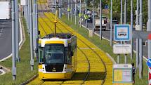 Tramvajová trať v Plaské ulici v Bolevci prošla rozsáhlou modernizací. Po výměně kolejí došlo i na osazení tramvajového pásu suchomilnými rostlinami. Ty nyní rozkvetli žlutými květy a kromě zlepšení vzhledu také sníží hluk i prašnost od tramvajové dopravy