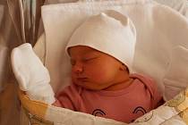 Ella Hamerníková z Dýšiny přišla na svět v plzeňské porodnici FN Lochotín 5. listopadu v 6:35 hodin s mírami 3620 g a 52 cm. Rodiče Michaela a Václav věděli dopředu, že jejich prvorozené miminko bude holčička.