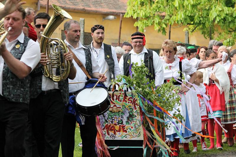 Během prodlouženého víkendu se v Chotěšově konaly oblíbené staročeské máje, které vyvrcholily nedělním průvodem, který došel do zahrady zdejšího kláštera.