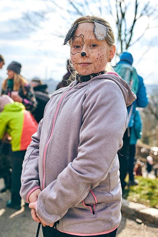 Vyhánění zimy v plzeňské ZOO. Velký průvod masek se vydal ze sídliště Vinice na statek Lüftnerka, kde se odehrály ukázky některých starých lidových zvyků spojených s předjařím, a po té pokračoval Kilometrovkou až před radnici na náměstí Republiky.