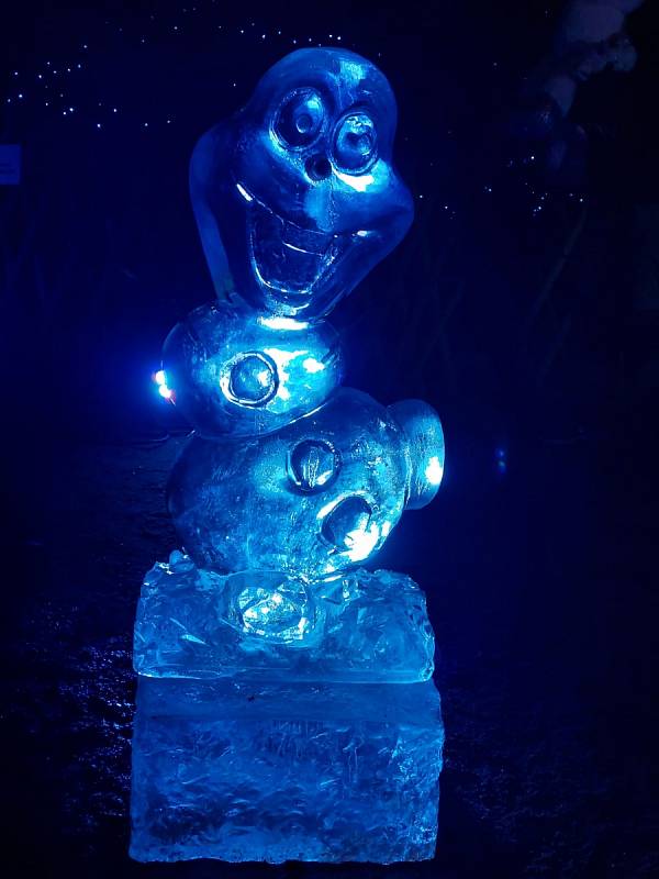 Habrmannův park v Plzni se stal výstavištěm ledových soch