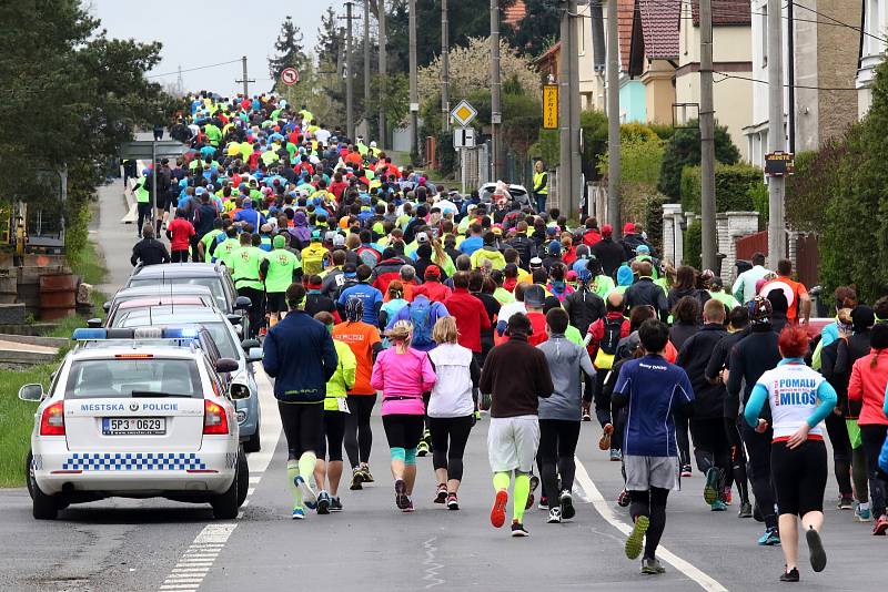 Účastníky Krajského Půlmaratonu Plzeňského kraje neodradilo ani chladné a deštivé počasí