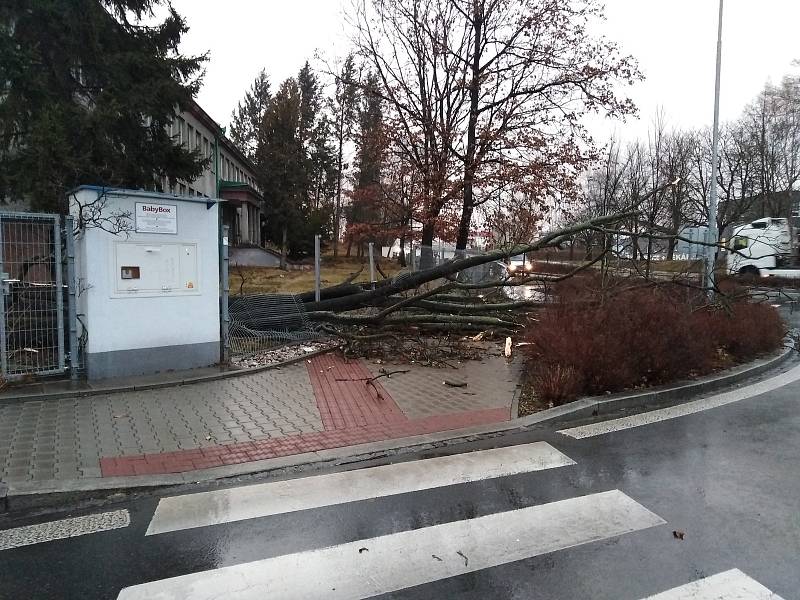 Vichřice Sabine vyvrátila strom u vjezdu do Klatovské nemocnice.