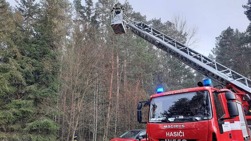 Vystrašenou kočku zachránili policisté, pomohli i přivolaní hasiči s plošinou