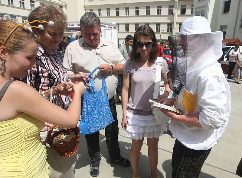 Farmářské trhy ve Škroupově ulici v Plzni