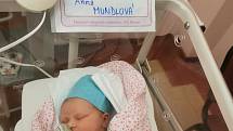 Anička Mundlová z Plzně se narodila 26. ledna 2021 v 17:42 hodin rodičům Barboře a Karlovi. Po příchodu na svět ve FN na Lochotíně vážila sestřička čtyřleté Sofinky 3150 gramů.