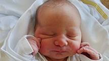 David Lang se narodil 13. srpna v 15:57 mamince Marii a tatínkovi Karlovi ze Štěnovic. Po příchodu na svět v porodnici U Mulačů vážil bráška dvouletého Toníka 3810 gramů a měřil 51 centimetrů