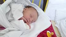Adéla (3,95 kg, 52 cm) se narodila 26. června v 10:21 v Mulačově nemocnici v Plzni. Na světě svoji prvorozenou holčičku přivítali maminka Petra Šnáblová a tatínek Michal Svoboda z Plzně.