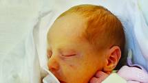 Jakub Čechura se narodil 18. listopadu v 9:46 mamince Michaele a tatínkovi Tomášovi. Po příchodu na svět v plzeňské porodnici U Mulačů vážil jejich prvorozený synek 220 gramů.