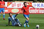 FC Viktoria PLzeň - FK Mladá Boleslav 3:1