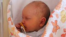 Rozárie Elizabeth Cisaríková z Chebu se narodila 3. července 2022 v 1:09 hodin v plzeňské FN Lochotín. Rodiče Lucie a David věděli, že Tomáškovi, kterému budou v listopadu tři roky domů přivezou malou sestřičku.