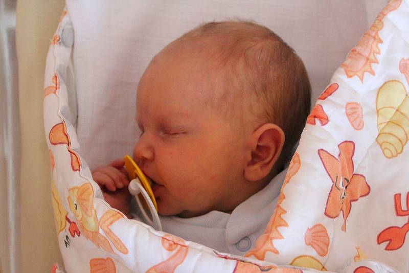 Rozárie Elizabeth Cisaríková z Chebu se narodila 3. července 2022 v 1:09 hodin v plzeňské FN Lochotín. Rodiče Lucie a David věděli, že Tomáškovi, kterému budou v listopadu tři roky domů přivezou malou sestřičku.