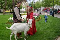 Před projekcí filmu Kozí příběh se před Měšťanskou besedou objevili kejklíři i živá koza.