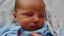 Čestmír Koželuha se narodil 31. prosince ve 4:04 mamince Kateřině a tatínkovi Čestmírovi z Plzně. Po příchodu na svět v porodnici U Mulačů vážil jejich prvorozený synek 3080 gramů.