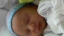 Karin Thea Ketnerová (2,53 kg, 48 cm) se narodila 13.října v 19:08 hod. ve Fakultní nemocnici v Plzni. Rodiče Radka a Roman Ketnerovi z Plzně mají už doma prvorozeného syna Radima, kterému bylo právě včera 5 let