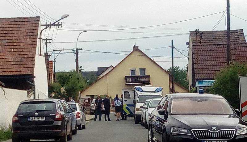 Vraždu 18leté dívky, která se stala v pondělí odpoledne v rodinném domě ve Zdemyslicích na Plzeňsku, vyšetřují krajští kriminalisté.