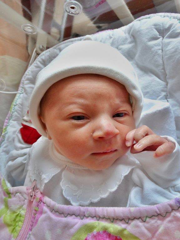 Lola Křížková se narodila 26. ledna 44 minut po půlnoci mamince Lucii a tatínkovi Davidovi z Plzně. Po příchodu na svět v plzeňské fakultní nemocnici vážila sestřička čtyřletého Davida 3010 gramů a měřila 48 centimetrů.
