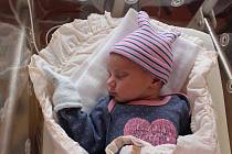 Anna Bělová se narodila v plzeňské porodnici 7. ledna 2023 ve 14:30 hodin s mírami 3470 g a 51 cm. Pro maminku Terezu a tatínka Václava je prvním potomkem. Rodina žije ve Všerubech.