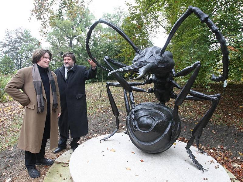 Socha mravence v bojové pozici a nadživotní velikosti je od středy novou ozdobou arboreta plzeňské zoo v sousedství japonské zahrady Šówa-en