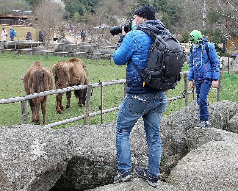 Do plzeňské zoologické zahrady dorazily jenom za sobotu více než dva tisíce návštěvníků.