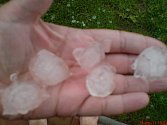 Fotografie krup, které v pátek během bouřky padaly v jihoplzeňské Losiné, nám do redakce zaslala čtenářka Helena Matěchová