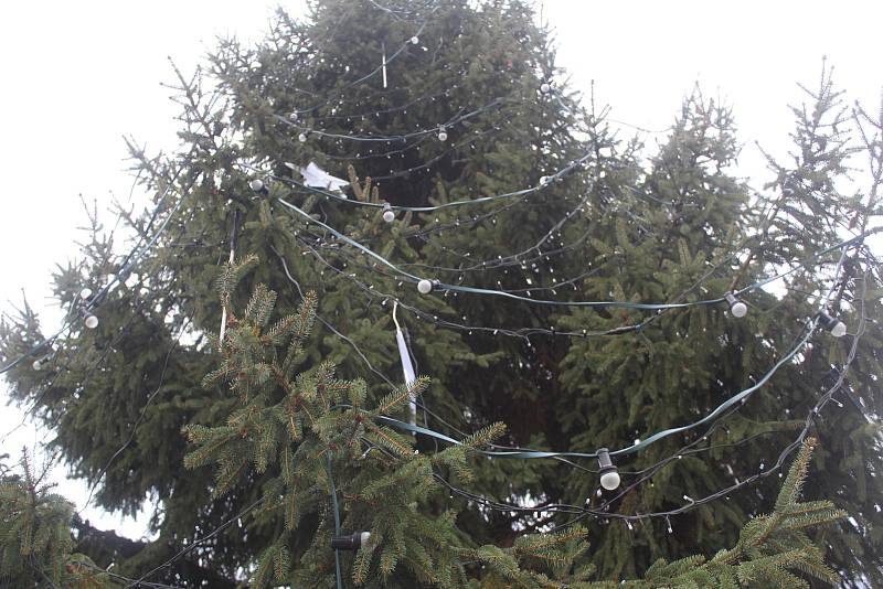Vánoční strom na náměstí v Tachově.