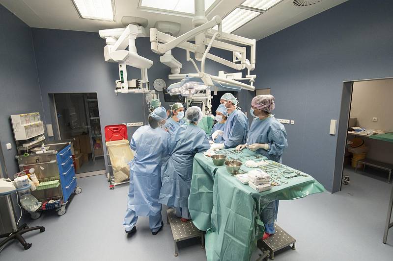 Studenti během letní školy zkoušejí různé experimenty a získávají praktické zkušenosti na operačních sálech.