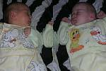 Dvojčátka Filípek (2,60 kg, 47cm) a Terezka (2,60 kg, 48cm) se narodili 19. června v 7:40 a 7:45 ve stodské nemocnici rodičům Michaele Morávkové a Jiřímu Kovandovi z Nýřan
