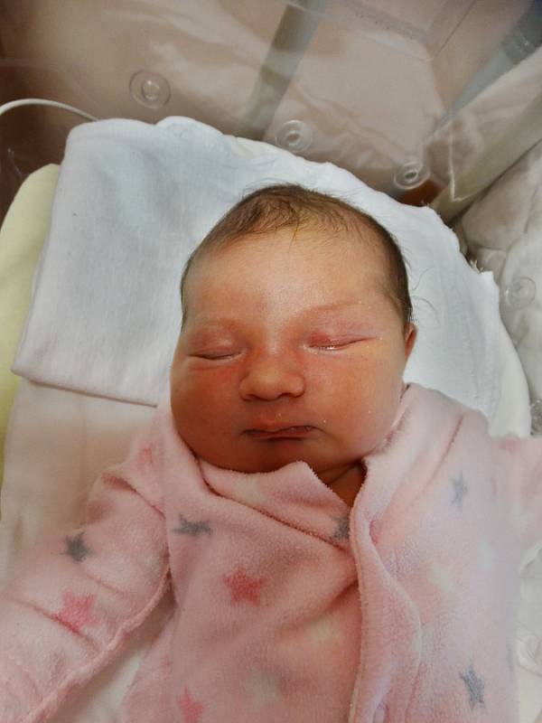 Daniela Bednářová se narodila 23. prosince v 19:55 mamince Václavě a tatínkovi Danielovi z Přeštic. Po příchodu na svět v plzeňské FN vážila jejich prvorozená dcerka 4580 gramů a měřila 52 cm.
