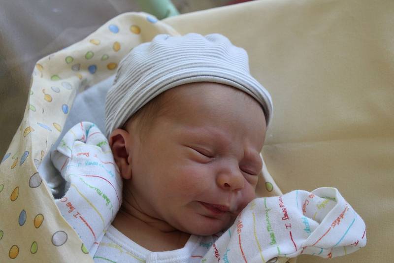 Dan Boháč z Plzně se narodil 17. dubna v 11:51 hodin v porodnici Mulačovy nemocnice s váhou 3650 g. Maminka Lenka a tatínek Josef věděli, že si z porodnice přivezou chlapečka.