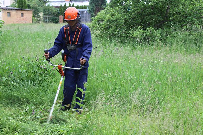 Střední škola Jeřabinová - maturity 2020