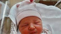 Laura Božovská se narodila 29. ledna v 1:11 mamince Jitce Rytířové a tatínkovi Tomášovi z Rokycan. Po příchodu na svět v plzeňské fakultní nemocnici vážila sestřička pětileté Viktorky 3200 gramů a měřila 50 centimetrů. 