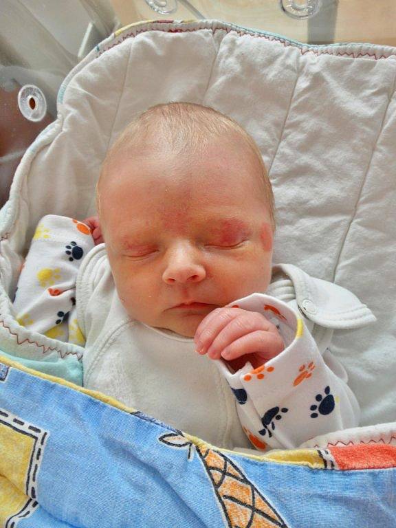 Petr Moule se narodil 7. února ve 20:20 mamince Ivaně a tatínkovi Láďovi z Hodovíze. Po příchodu na svět v plzeňské fakultní nemocnici vážil jejich prvorozený syn 2910 gramů a měřil 46 centimetrů.