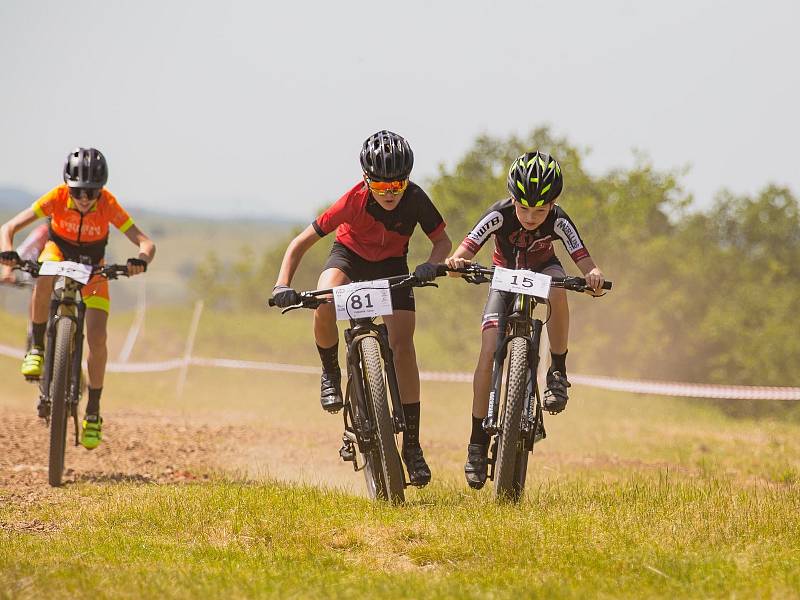 Jen před týdnem se bikeři v rámci Poháru Plzeňského kraje MTB utkali v Přešticích na Velké ceně Prior, memoriálu Vítka Přerosta.