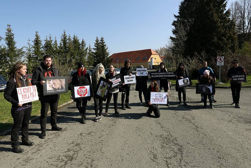 Protest veganů proti provozu jatek.