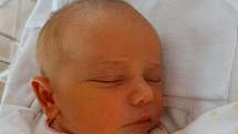 Tura Syla se narodila 1. září ve 12:05 mamince Besnoře a tatínkovi Fatonovi z Plzně. Po příchodu na svět v plzeňské FN vážil jejich prvorozený potomek 2970 gramů.