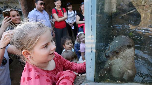 Otevření České řeky v plzeňské zoo