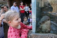 Otevření České řeky v plzeňské zoo