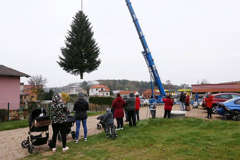 vánoční strom pro Plzeň soukromá zahrada Kařez