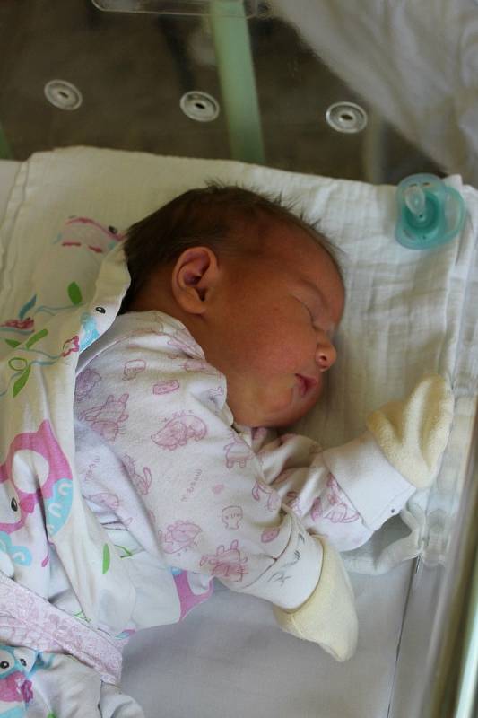 Sofiia Semkivová se narodila 11. října v 7:44 hodin rodičům Nadě a Miroslavovi z Dobřan. Po příchodu na svět v porodnici Mulačovy nemocnice vážila sestřička Evelínky (4) 4670 gramů.