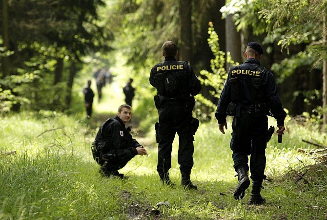 Policejní pátrání v lese. Ilustrační foto.