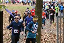 Start závodu na 11 a 18 km z kempu Ostende u Boleveckého rybníku.